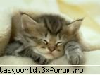 sortare - 1.cand cunosti persoane noi , cum te porti? a.te - Inscriere
